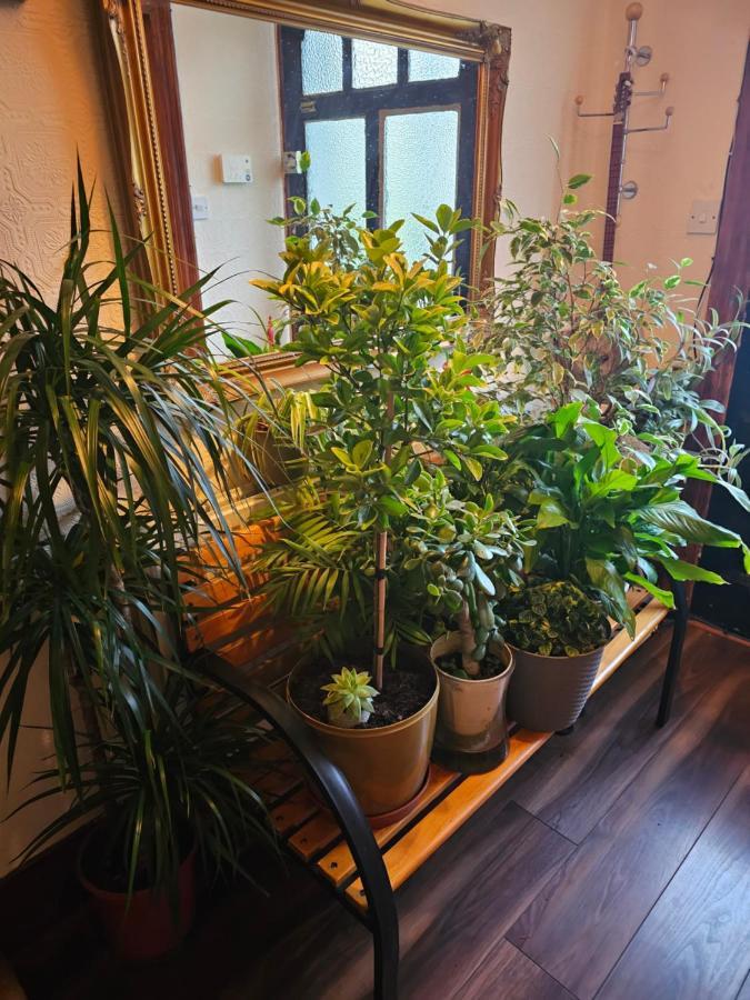 Ensuite Double Room Elizabeth Line Abbeywood Abbey Wood 外观 照片